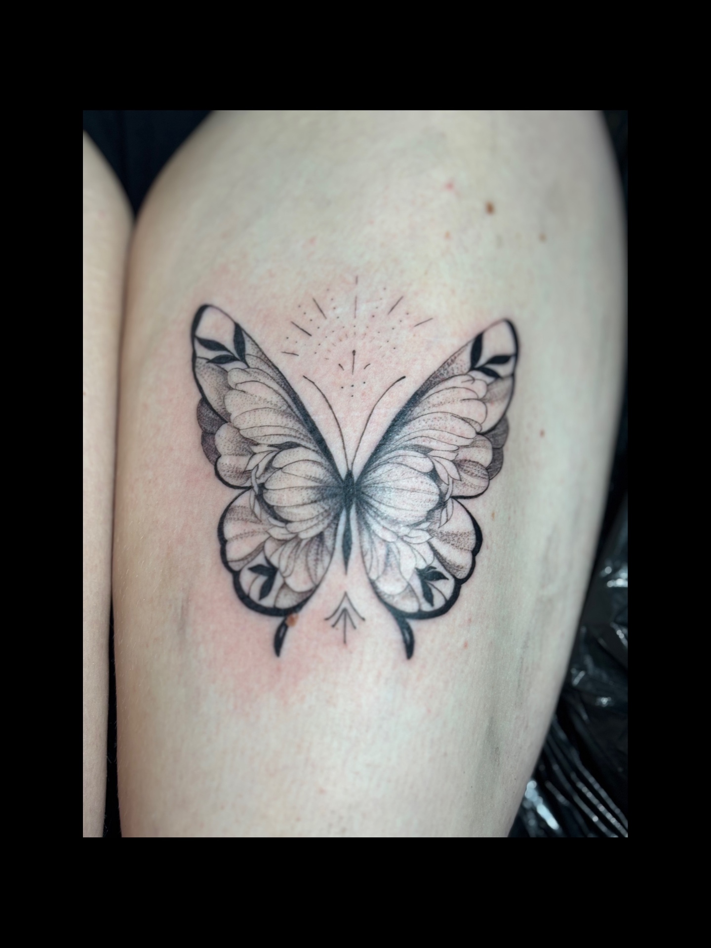 Vlinder fineline & dotwork